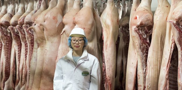 Eine junge Frau, Thi Hong Bui, steht vor aufgehängten Schweinehälften