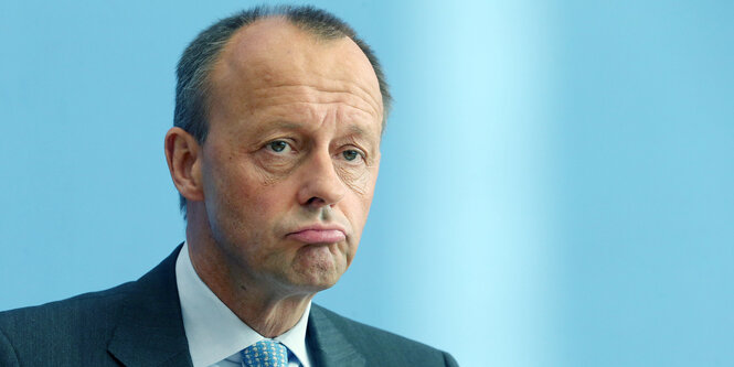 Porträt Friedrich Merz