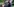 Drei Leute schauen mit Ferngläsern nach Kranichen in Brandenburg