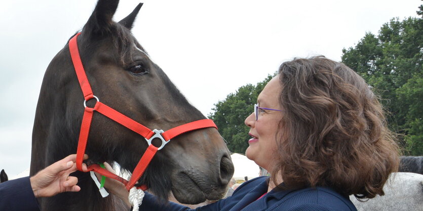 eine Frau und ein Pferd gucken sich an