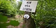 Ein Schild an einem Laubbaum in einem Wald. Auf ihm steht: Ich will leben