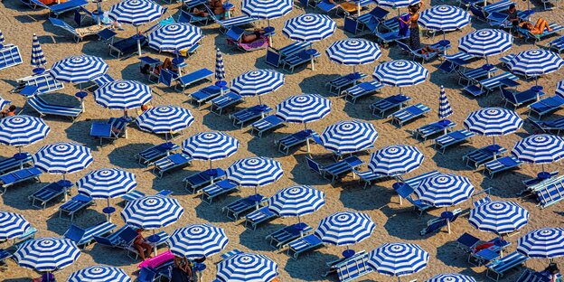 Reihenweise Sonnenschirme und Sonnenliegen an einem Strand