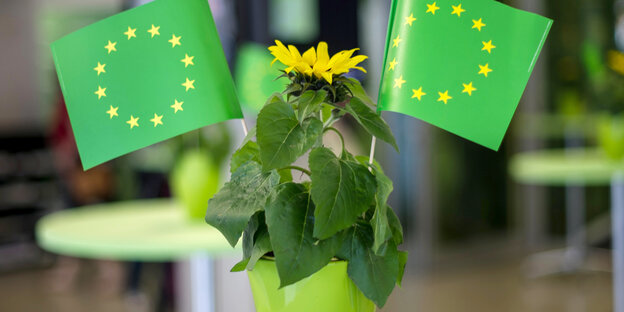 Eine Blume und grüne Europafähnchen