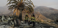 Zwei Feuerwehrleute stehen auf verbranntem Boden neben einer Palme
