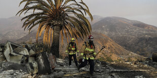 Zwei Feuerwehrleute stehen auf verbranntem Boden neben einer Palme