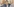 Eine Zeichnung zeigt einen schwarzhaarigen Mann in einem Anzug, der zwischen zwei Personen sitzt