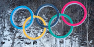 Die olympischen Ringer vor einem eingeschneiten Hang mit Bäumen
