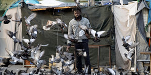 Ein Mann steht in einem Flüchtlingslager, umschwirrt von einem Schwarm Tauben