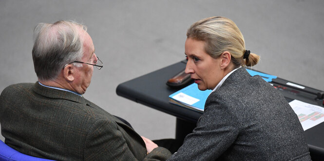 Alice Weidel beugt sich im Sitzen zu Gauland hinüber