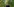 Yavuz Ulaş steht in einem Wald