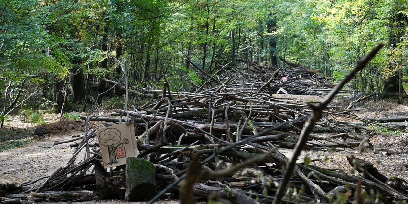 In einem Wald liegen Äste aufeinandergeschichtet. Auf einem Pappschild ist zu lesen "Fck RWE"