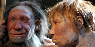 Nachbildungen von Neandertalern