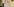 Eine Frau mit blonden Haaren, grauem Pullolver und grauer Mütze