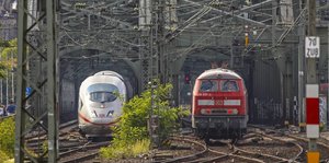 Zwei Züge bei Köln