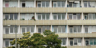 Ein helles Mietshaus mit vielen Wohnungen und Balkons ist zu sehen, davor steht ein Baum