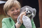 Angela Merkel füttert einen Lemur, der auf ihrer Schulter sitzt