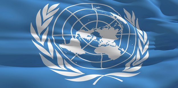 Das UN-Symbol ist auch im Migrationspakt-Dokument zu sehen: eine in einem Kreis angeordnete Weltkarte von zwei Olivenzweigen umschlossen auf einer hellblauen Flagge