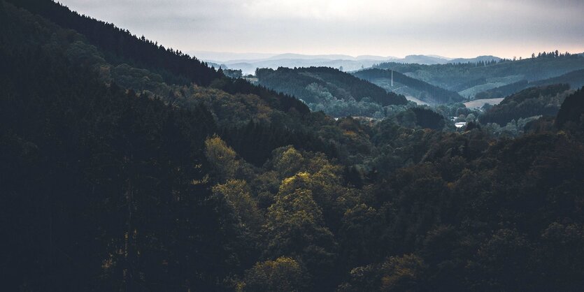 Eine bergige Landschaft