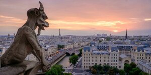 Ein steinerner Dämon blickt von weit oben auf Paris herab