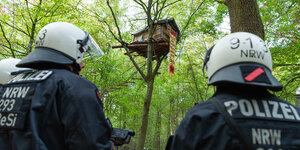 Zwei Polizisten, von hinten fotografiert, stehen vor einem Baumhaus im Hambacher Forst