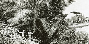 Zeichnung des Dschungels im Kongo samt Eisenbahn