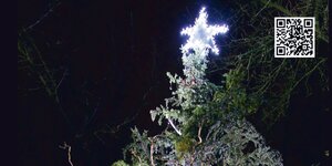 Ein Weihnachtsbaum bei Nacht mit leuchtendem Stern.