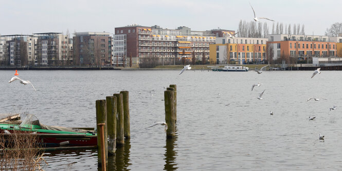 Blick auf den See in der Rummelsburger bucht