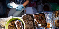 Eine Frau verkauft im Preußenpark in Berlin-Wilmersdorf gegrillte Insekten. In einem Berliner Park gibt es an den Wochenenden einen großen Markt mit Straßenküchen wie in Asien.
