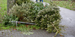 ein Weihnachtsbaum auf dem Boden