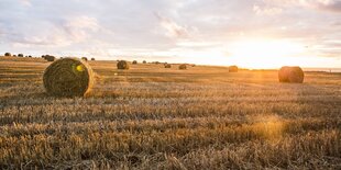 Strohballen liegen auf einem Feld in der Normandie