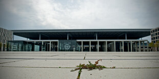 Vor dem Berliner Flughafen BER wächst Unkraut