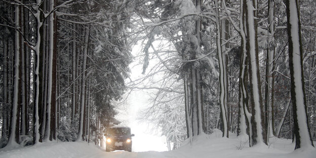 Ein Auto fährt durch einen verschneiten Wald in Süddeutschland