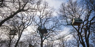 Baumhäuser in den Bäumen des Hambacher Forstes, Kamera fängt sie von unten ein
