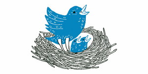 Drei Twittervögel in einem Nest