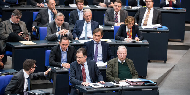 Die AfD-Fraktion im Bundestag