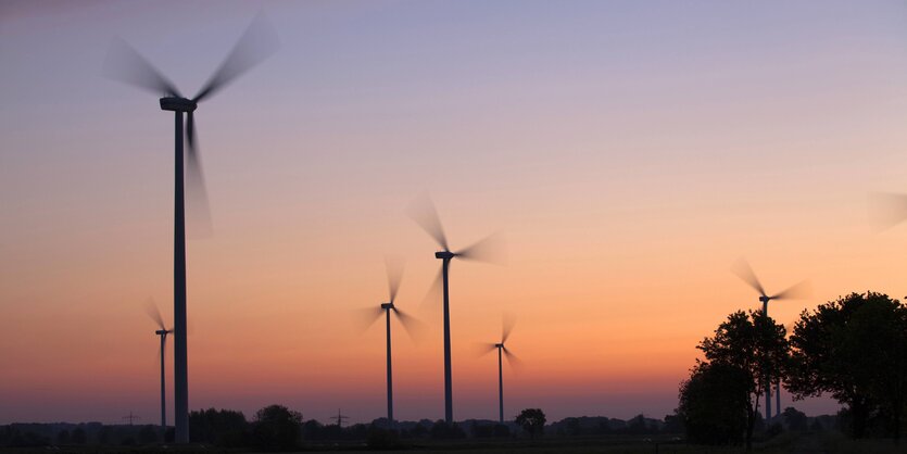 Windräder im Abendlicht