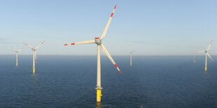 Windräder stehen auf dem offenen Meer.