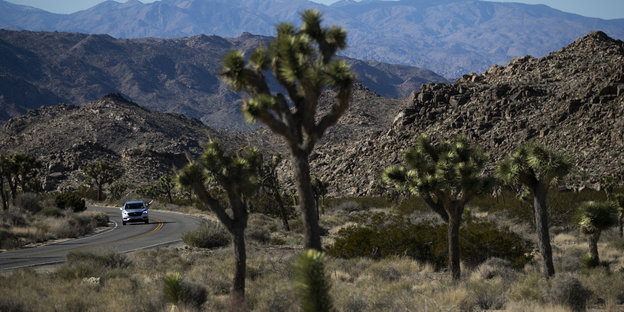 Eine Straße in der Mojave-Wüste