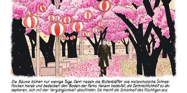Comic: Ein Mann läuft allein auf einem von Kirschblüten übersäten Weg entlang. Hanami ist der japanische Ausdruck für die Kirschblütenzeit