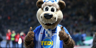 Hertha-Maskottchen