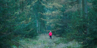 Ein Kind steht in einem Wald