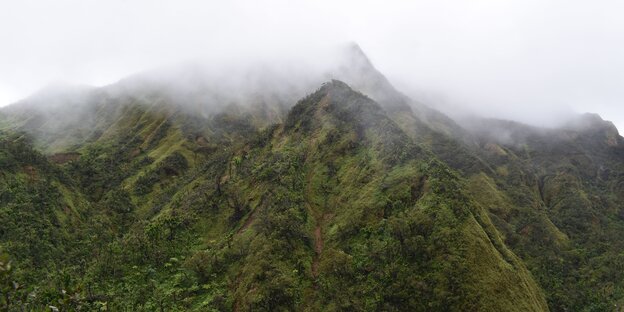 Der Morne Diablotins Nationalpark auf Dominica Der Morne Diablotins Nationalpark auf Dominica