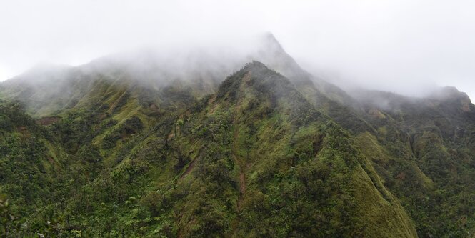 Der Morne Diablotins Nationalpark auf Dominica