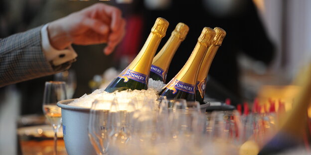 vier Champagnerflaschen in einem Kühler voller Eis
