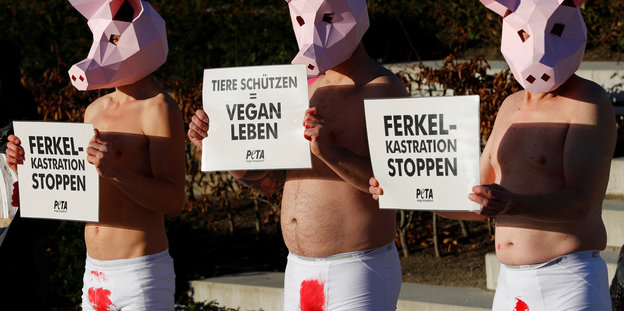 peta aktivisten demonstrieren gegen kastration von ferkeln mit schildern und in blutigen unterhosen und schweinemasken auf dem kopf
