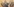 gezeichnetes Bild aus einem Gerichtssaal