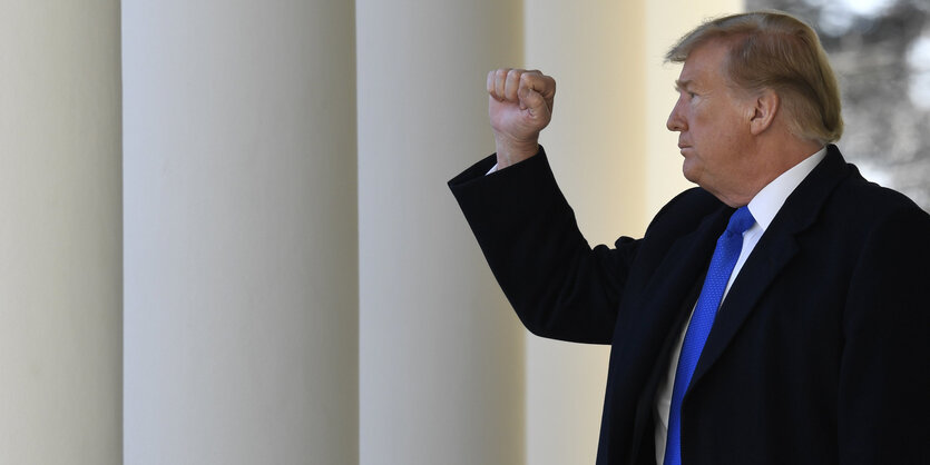 Donald Trump mit erhobener Faust