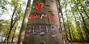 Ein Baum mit Inschrift im Hambacher Wald