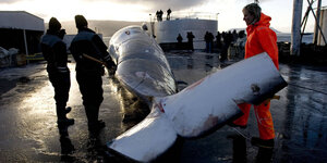 2 Männer und 1 Frau mit Äxten stehen um einen toten Finnwal auf enem Schiffsdeck