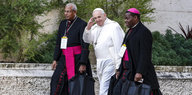 Drei Männer, Papst Franziskus mit zwei Bischöfen